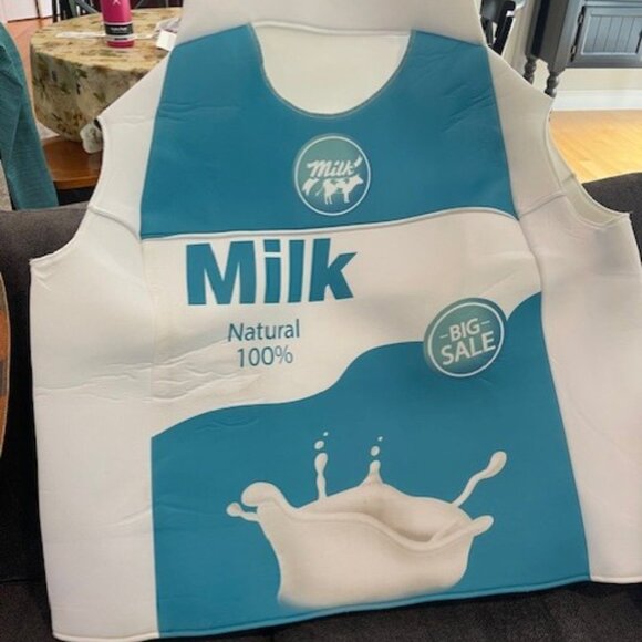 ADULT HALLOWEEN COSTUME! - Picture 2 of 4